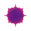 Core